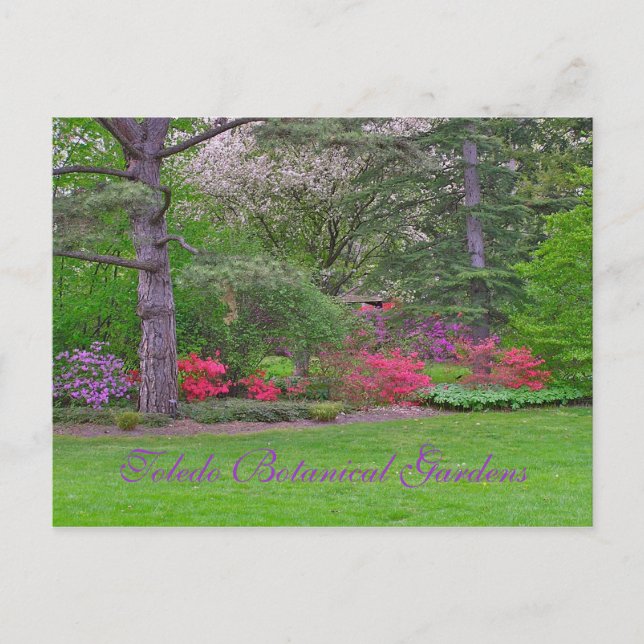 TOLEDO BOTANICAL GARDENS, VÅR, POSTCARD VYKORT (Framsida)