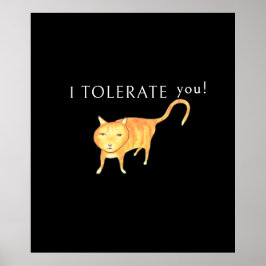 Tolerant Apatisk Orange Katt Poster