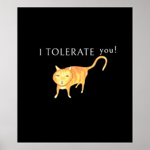 Tolerant Apatisk Orange Katt Poster