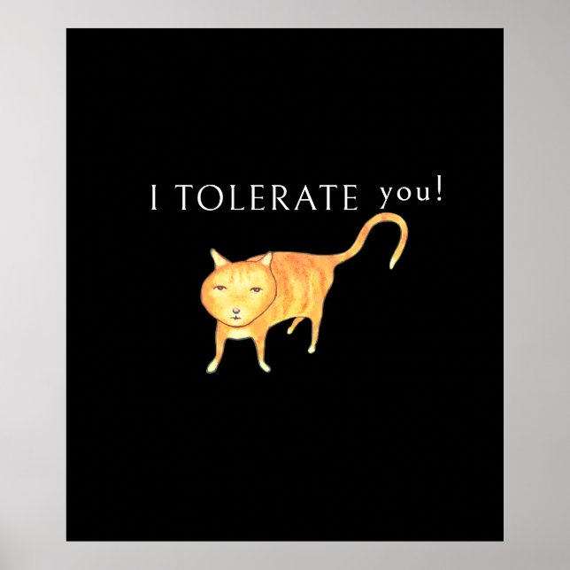 Tolerant Apatisk Orange Katt Poster (Framsidan)