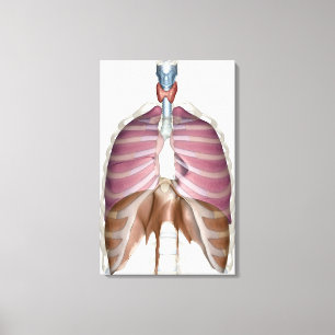 tolkning 3d av det respiratoriska systemet canvastryck
