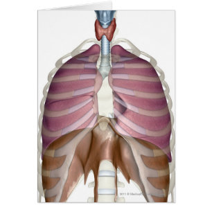 tolkning 3d av det respiratoriska systemet hälsningskort