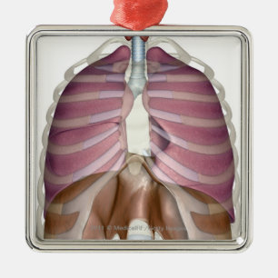 tolkning 3d av det respiratoriska systemet julgransprydnad metall