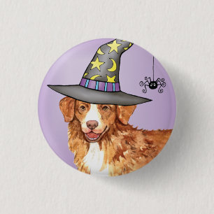 Toller Witch Knapp