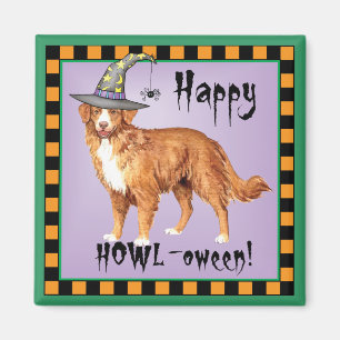 Toller Witch Magnet