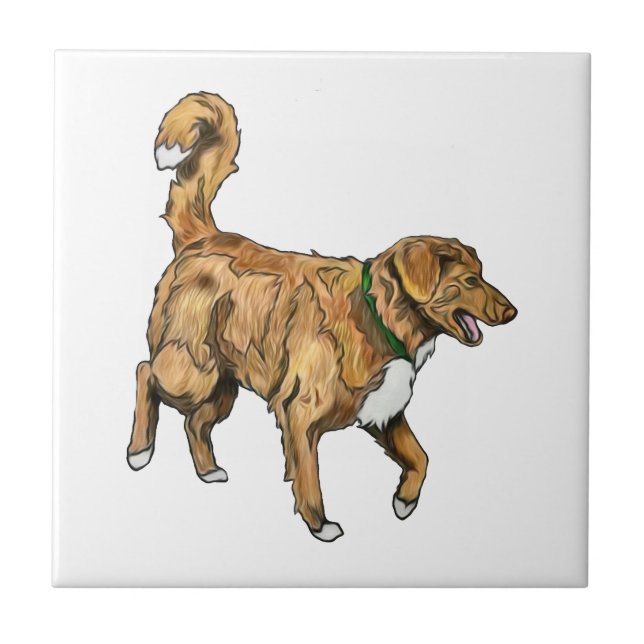 Tolleren belägger med tegel kakelplatta (Framsidan)