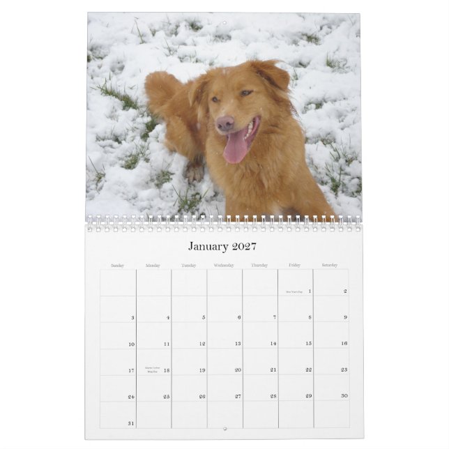 Tollerkalender Kalender (Jan 2027)
