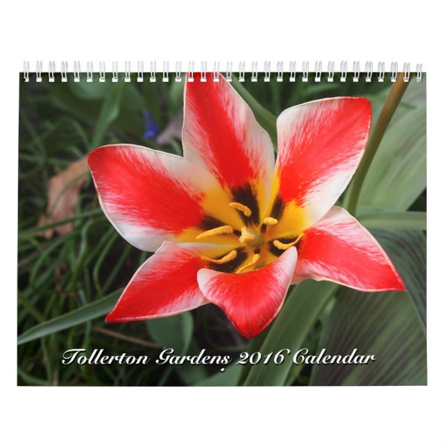 Tollerton arbeta i trädgården kalender 2016 (Omslag)