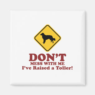 Tolling Retriever för Nova Scotia anka Magnet
