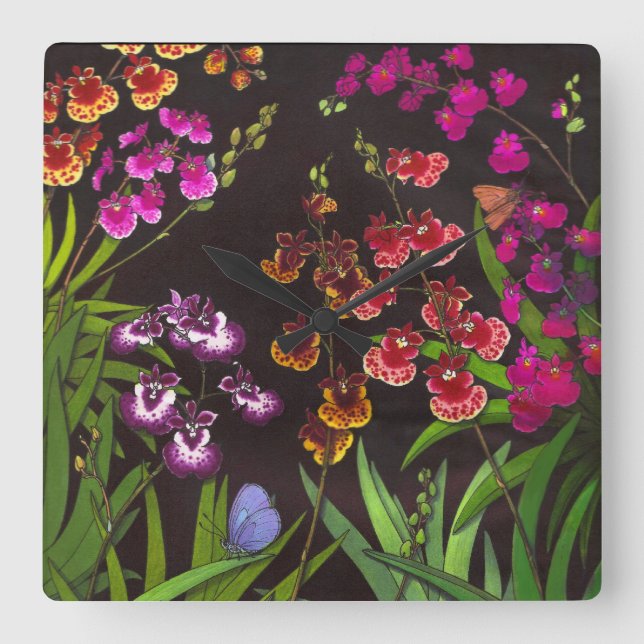 Tolumnia blommar den Equitant Oncidium orchiden Fyrkantig Klocka (Framsida)