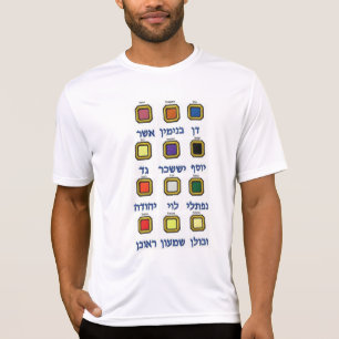 Tolv (12) stammar av Israel utslagsplatsskjorta T-shirt