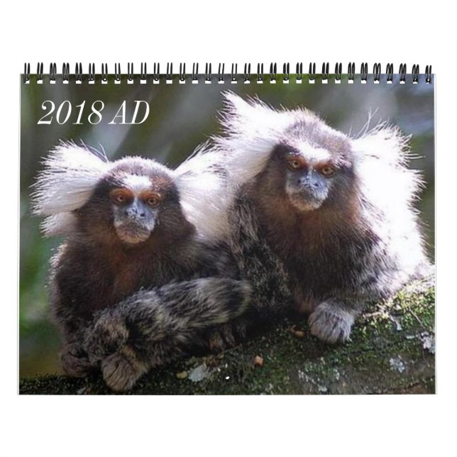 Tolv apor kalender (Omslag)