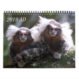 Tolv apor kalender