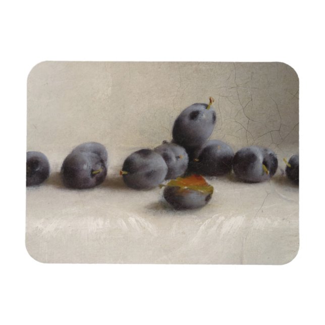 Tolv plommon magnet (Horisontell)