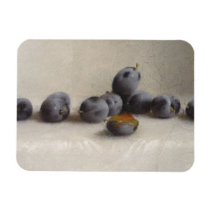 Tolv plommoner magnet