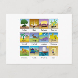 Tolv stammar från Israel Sälar Vykort