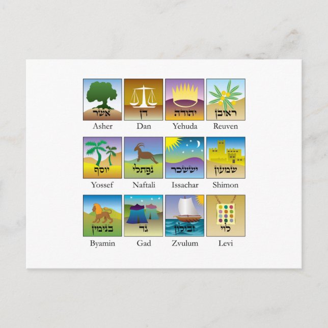 Tolv stammar från Israel Sälar Vykort (Framsida)
