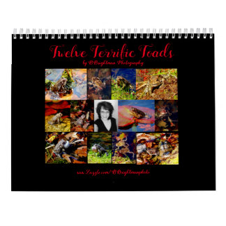Tolv Terrific Toads Kalender