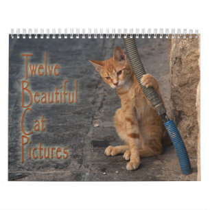 Tolv vackra katter Bilder Kalender