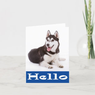 Tom anteckningskort för Hej Siberian husky-valpen