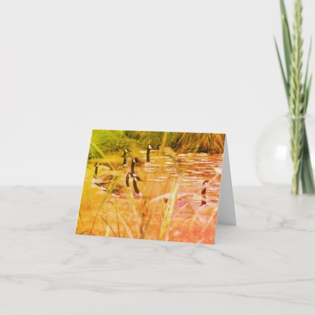 Tom anteckningskort för vild Kanada Geese Nature (Framsida)