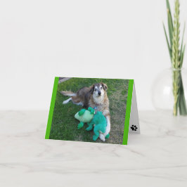 Tom anteckningskort, Hund med grodor Kort