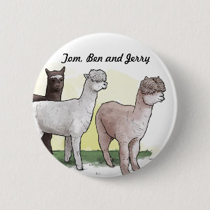 Tom, Ben och Jerry emblem Knapp
