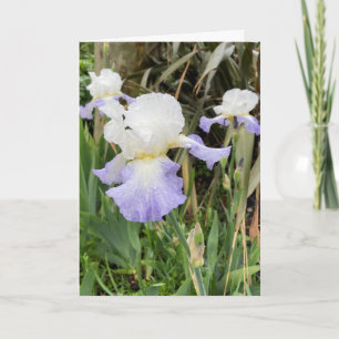 Tom blank lavendel Iris Blommig Kort