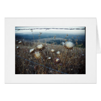 tom blommigt OBS kort