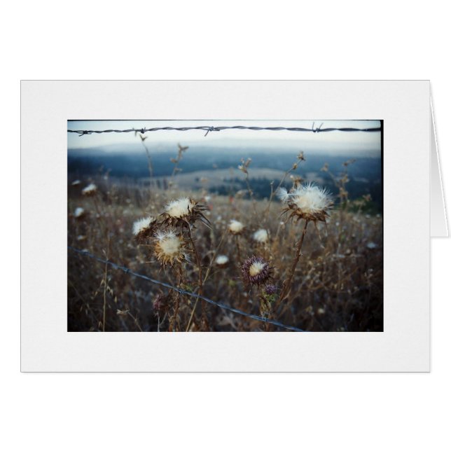 tom blommigt OBS kort (Framsidan Horizontal)