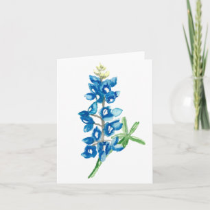 Tom Bluebonnet 2 Kort