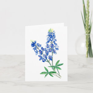 Tom Bluebonnet 3 Kort