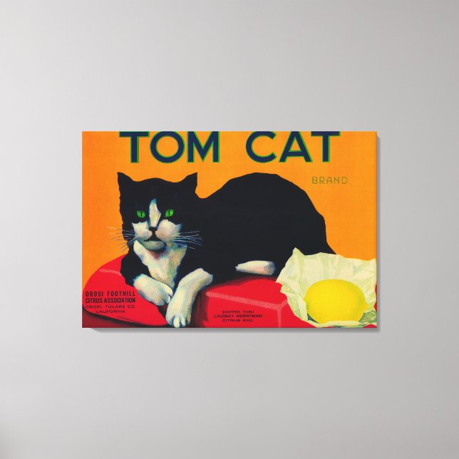 Tom Cat Lemon LabelOrosi, CA Canvastryck (Framsida)