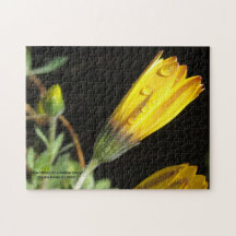 Töm droppar på en Gult Daisy - Pussel