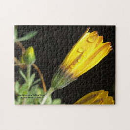 Töm droppar på en Gult Daisy - Pussel