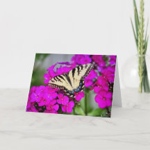 Tom gratulationskort