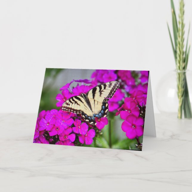 Tom gratulationskort kort (Framsida)