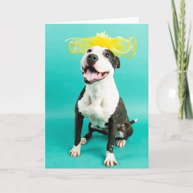 Tom gratulationskort kort (Framsida)