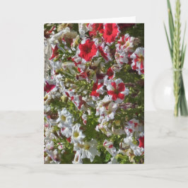 Tom gratulationskort med röda och vita blommor kort