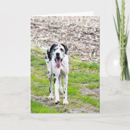 Tom hälsningskort Great dane Kort