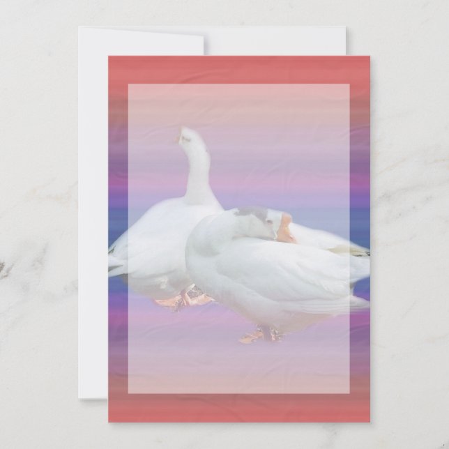 tom inbjudan,alla syften inbjudningar (Framsida)