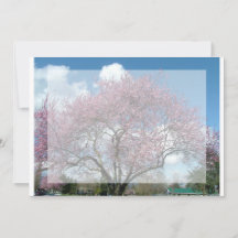 tom inbjudan, körsbärsblommande träd