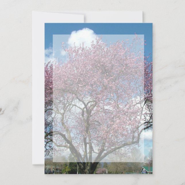 tom inbjudan, körsbärsblommande träd inbjudningar (Framsida)