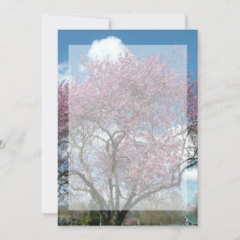 tom inbjudan, körsbärsblommande träd inbjudningar