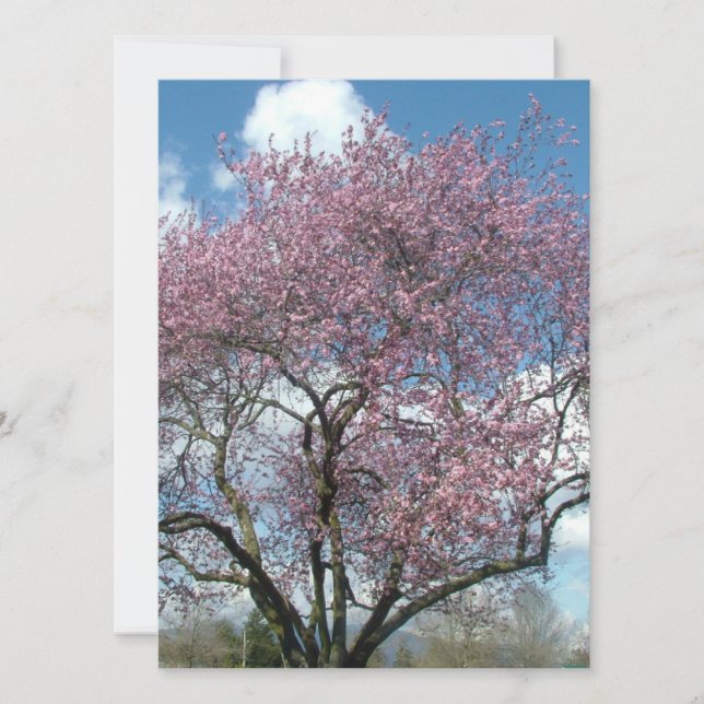 tom inbjudan, körsbärsträd i blom inbjudningar (Framsida)