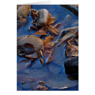 Tom inre, Löv Hälsningskort