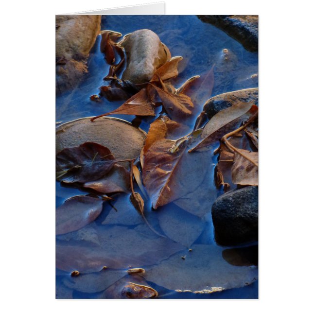 Tom inre, Löv Hälsningskort (Framsidan)