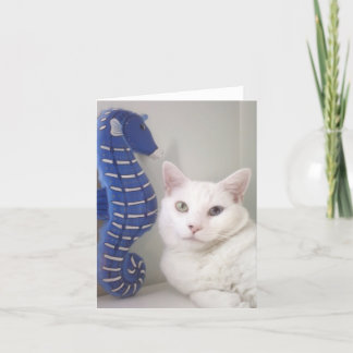 Tom insida för hälsningkort kort