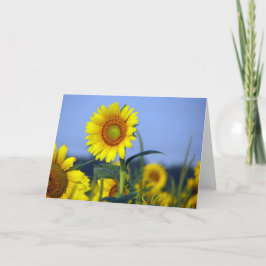 Tom inuti för din anpassning kort