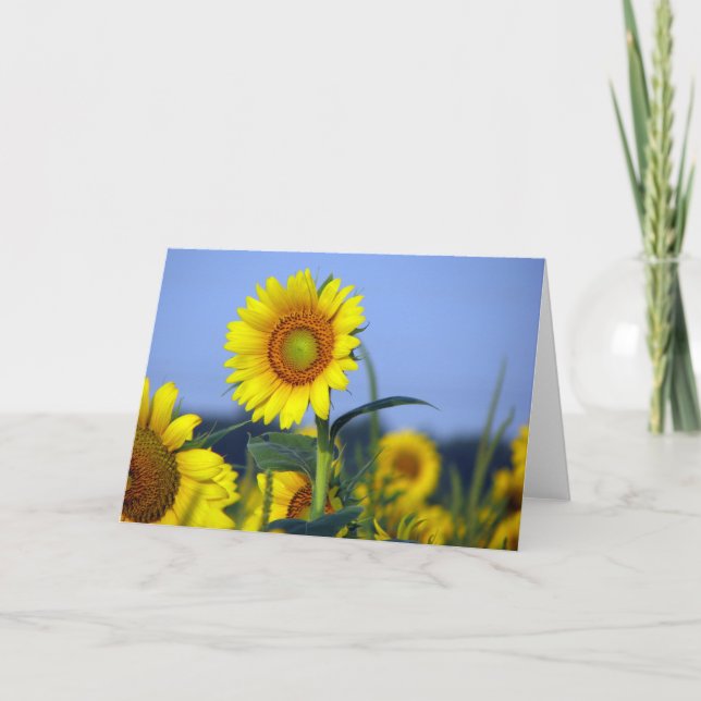 Tom inuti för din anpassning kort (Framsida)